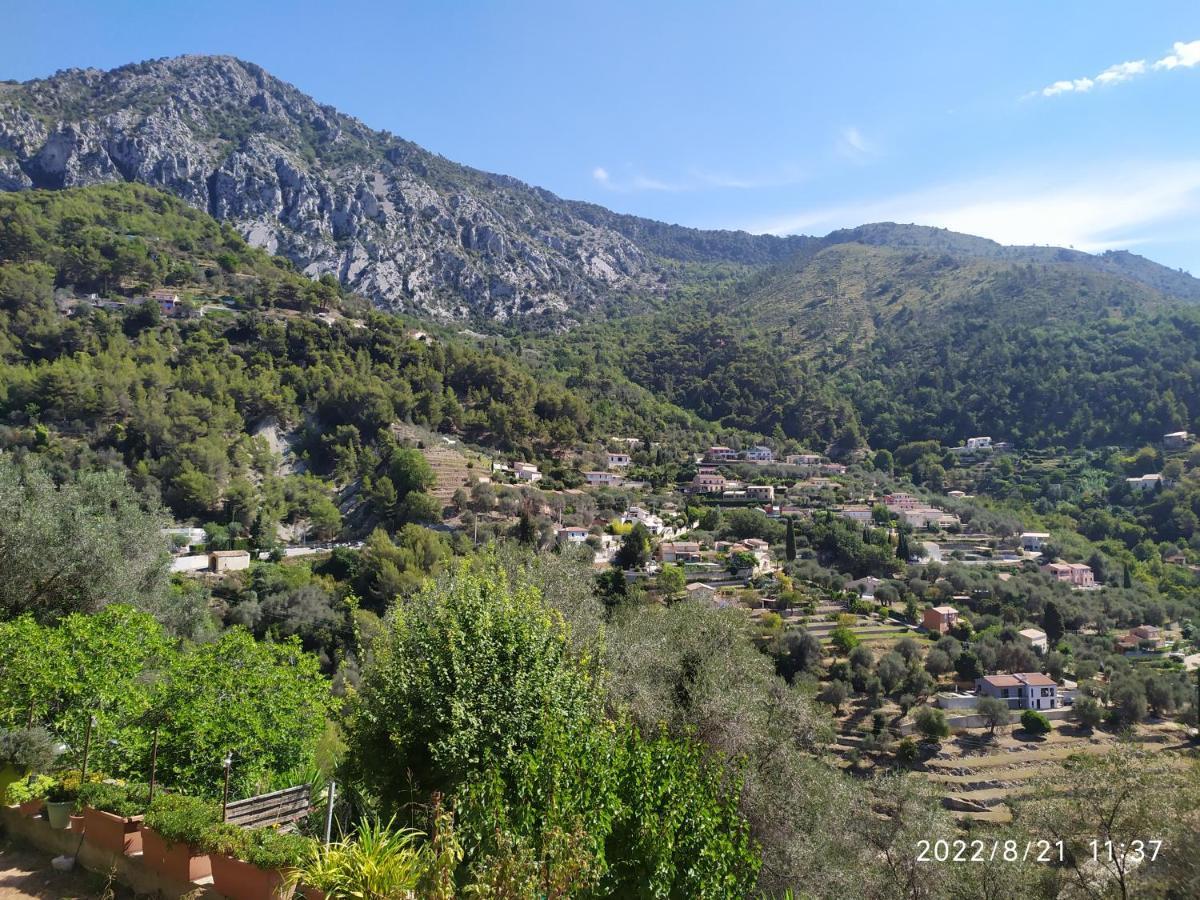 Appartement 2 Pieces - Le Berceau Castellar Exterior foto